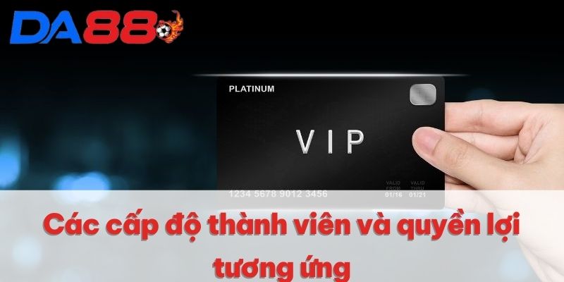 Các cấp độ thành viên và quyền lợi tương ứng