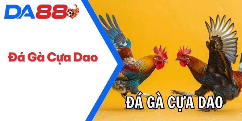 Đá Gà Cựa Dao