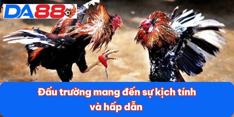 Đấu trường mang đến sự kịch tính và hấp dẫn 