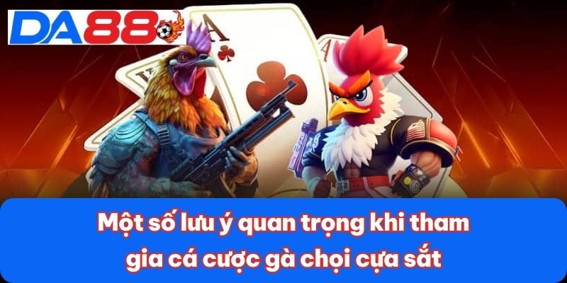 Một số lưu ý quan trọng khi tham gia cá cược gà chọi cựa sắt