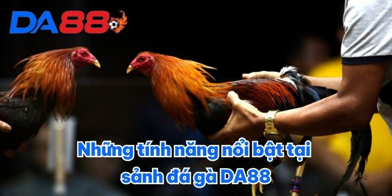 Những tính năng nổi bật tại sảnh đá gà DA88